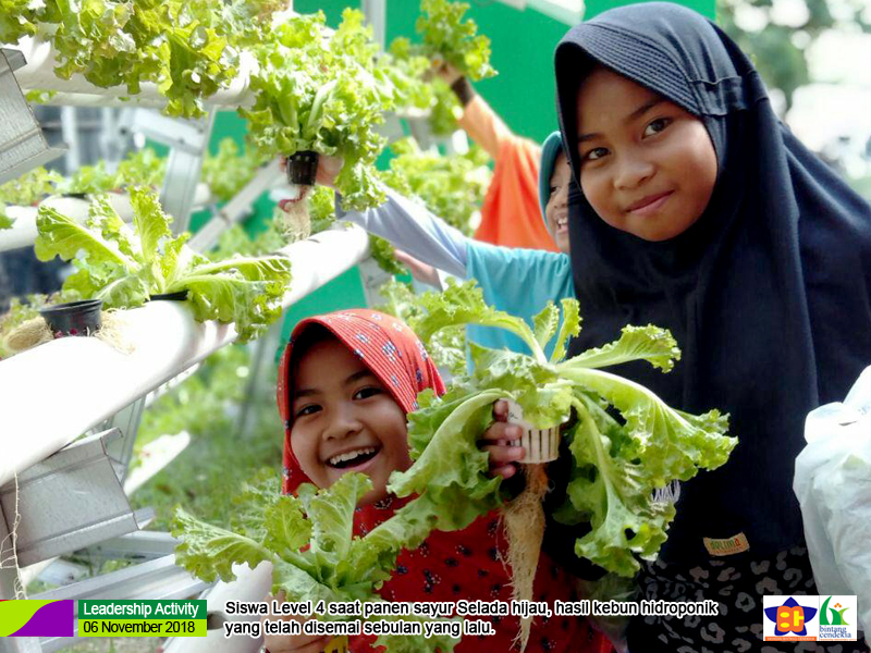 Sayur Sehat Hasil Panen Sendiri