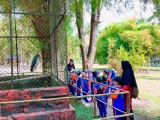 Murid TK Bintang Cendekia Belajar Mengenal Jenis Hewan di Kebun Bintang